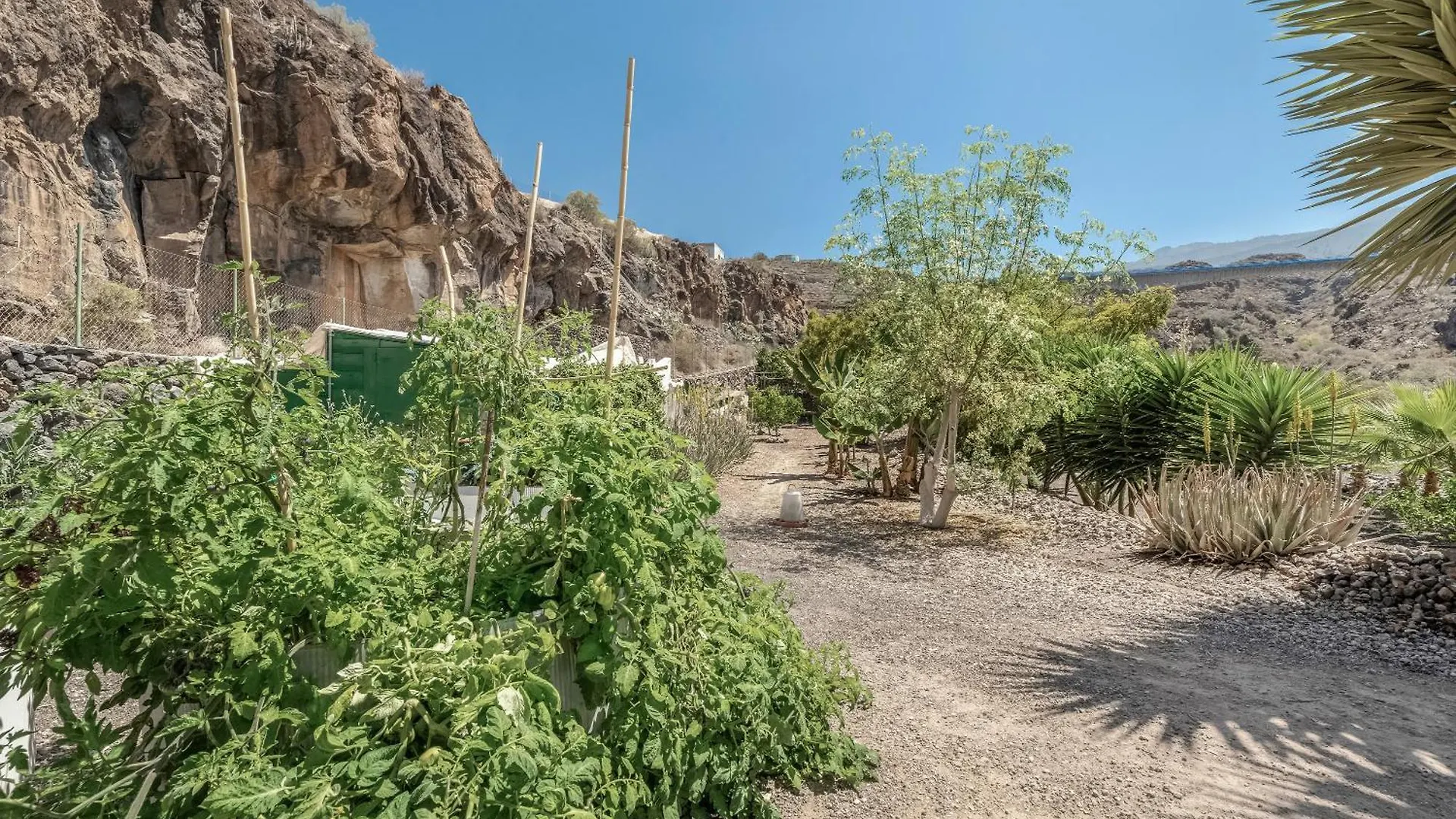 Finca Eden Guia de Isora  Guia de Isora (Tenerife)